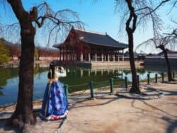 Seoul Full-Day Sightseeing Tour with Lunch