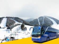 Seoul ↔ Yongpyong Ski Resort Shuttle Bus