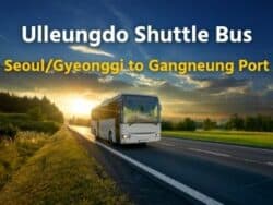 [SeoulGyeonggi] Ulleungdo Shuttle Bus