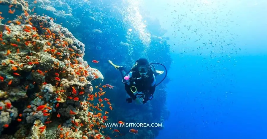 Top 10 Diving and Snorkeling Spots in Korea