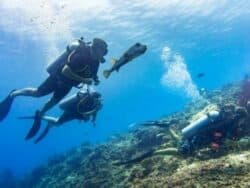 Ulleungdo Hakpo Beach Experience Diving