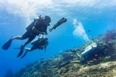 Ulleungdo Hakpo Beach Experience Diving