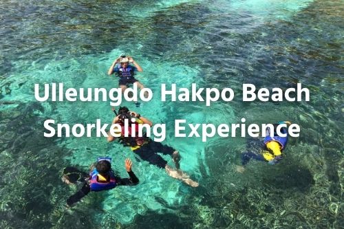ประสบการณ์ดำน้ำตื้นที่หาด Ulleungdo Hakpo