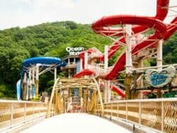 Tiket Vivaldi Park Ocean World - Hongcheon