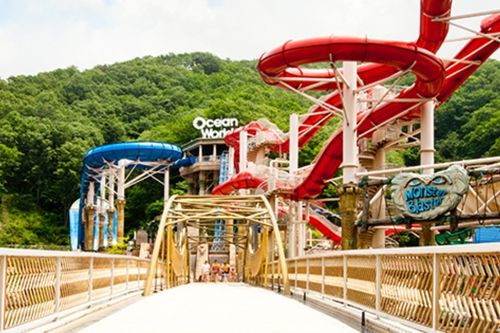 Tiket Vivaldi Park Ocean World - Hongcheon