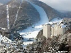 Yongpyong Ski Resort Room Reservation