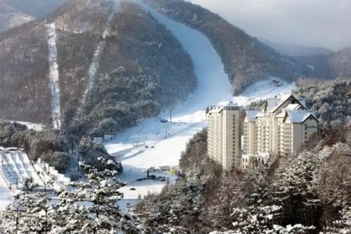 Reservasi Kamar Resor Ski Yongpyong