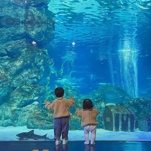 coex aquarium
