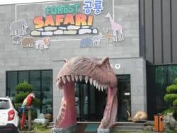 Biglietto per il safari nella foresta a Jeju
