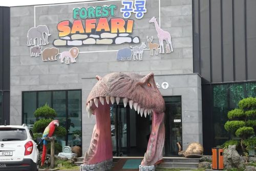 Tiket Safari Hutan di Jeju