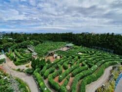 Parco del labirinto nel mondo di Jeju Seri