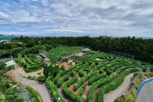 Taman Labirin di Dunia Jeju Seri