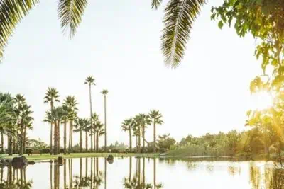 Billet pour le parc Norimae à Jeju