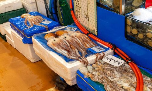 ตลาดปลาโนรยางจิน