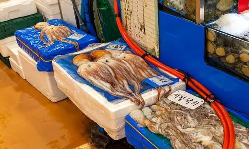 mercato del pesce di noryangjin