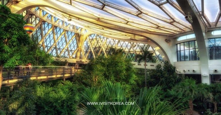 A Little Trip to Magok-dong