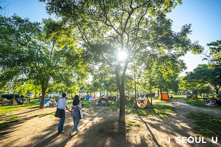 awesome-park
