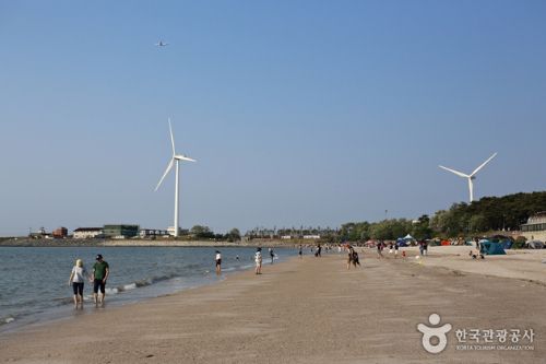 หาดบังกาเมอริ (ที่มา_ องค์กรการท่องเที่ยวเกาหลี)