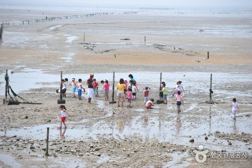 หาดมาเซียน (ที่มา_ องค์กรการท่องเที่ยวเกาหลี)