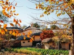 Andong Unesco Heritage Day Tour from Seoul or Busan