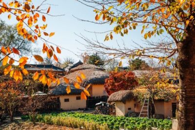 Andong Unesco Heritage Day Tour from Seoul or Busan