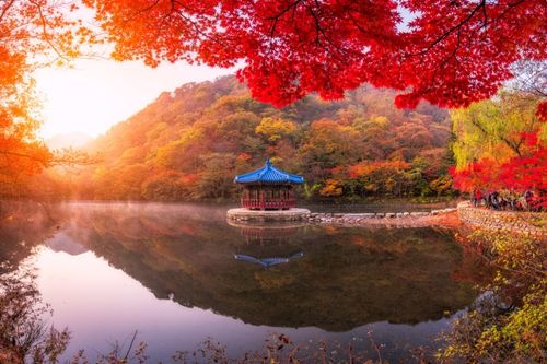 ใบไม้เปลี่ยนสีที่อุทยานแห่งชาติแนจังซาน