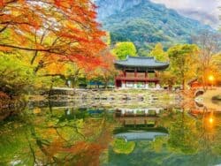 Naejangsan National Park Autumn Foliage Tour from Seoul