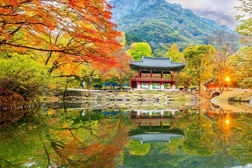 Tur Dedaunan Musim Gugur Taman Nasional Naejangsan dari Seoul