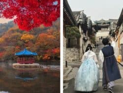 Naejangsan National Park & Jeonju Hanok Village Day Tour from Seoul