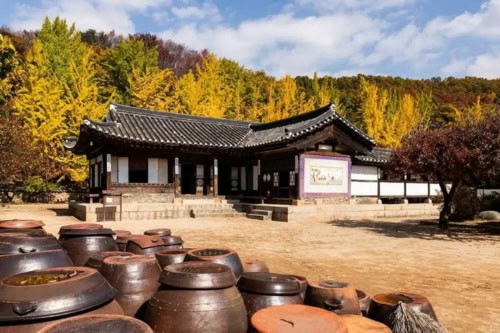 Tour giornaliero della fortezza di Suwon Hwaseong e del villaggio folcloristico coreano da Seoul