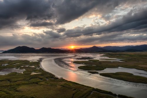 유네스코 세계문화유산 겟볼(갯벌) 투어(서울, 부산, 대구 출발)