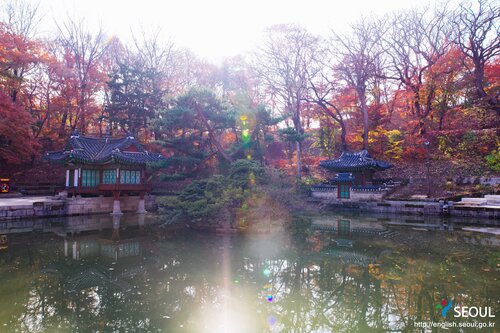 changdeokgung palace fall in korea