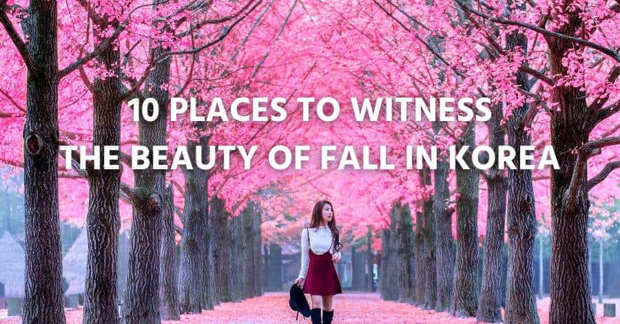 Luoghi per testimoniare la bellezza dell'autunno in Corea
