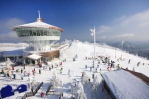 Seoul / Airport ↔ High1 Ski Resort Private Transfer