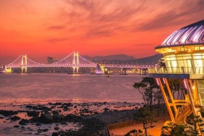 釜山 XNUMX 日プレミアム写真ツアー