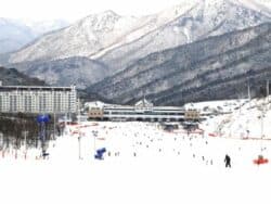 Eden Valley Ski Resort Day Tour from Busan