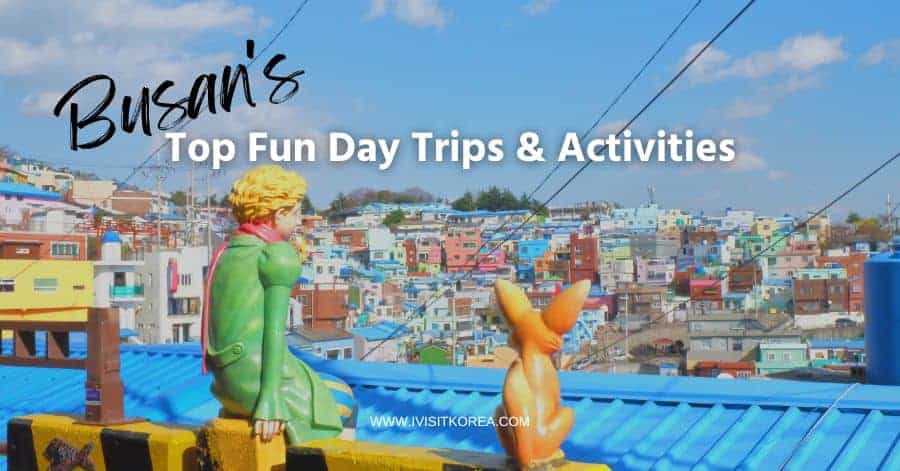 Fun Day Trips and Activities in Busan