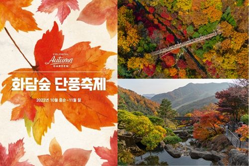 Hwadam Botanic Garden Fall Foliage Festival Featured