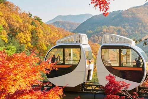 Hwadam Botanic Garden Fall Foliage Festival