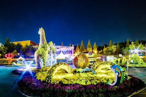 Iksan Ten Million Chrysanthemum Festival 2022 Featured