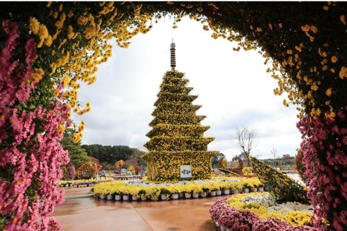 Iksan Ten Million Chrysanthemum Festival 2022