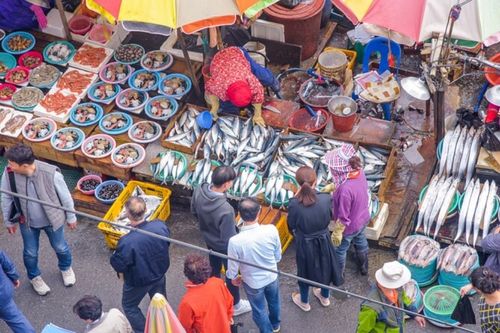 Mercato del pesce di Jagalchi e tour del mercato alimentare coreano a Busan