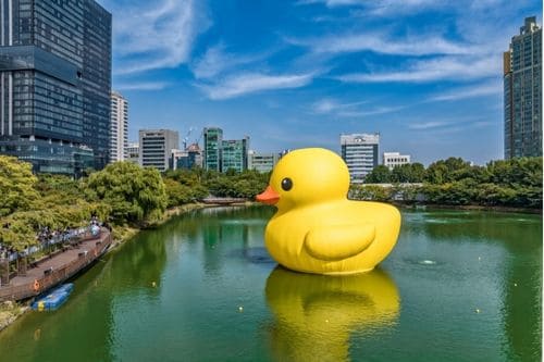 Rubber Duck Project Seoul 2022