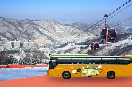 Seoul ↔ Shuttlebus zum Vivaldi Park Skigebiet