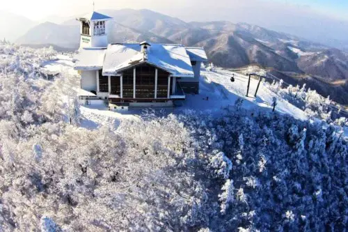 首爾_機場 ↔ 龍平滑雪場接駁巴士