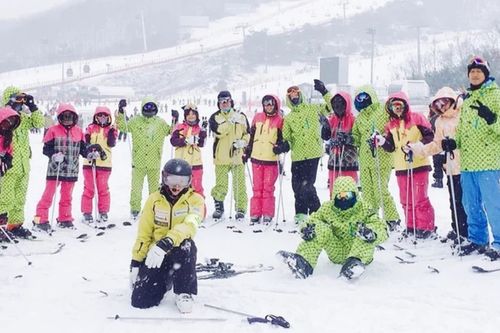 Tur Hari Dunia Ski Taman Vivaldi dari Seoul