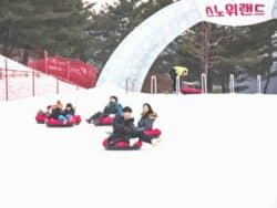 Tour in slittino sulla neve del Parco Vivaldi SnowyLand