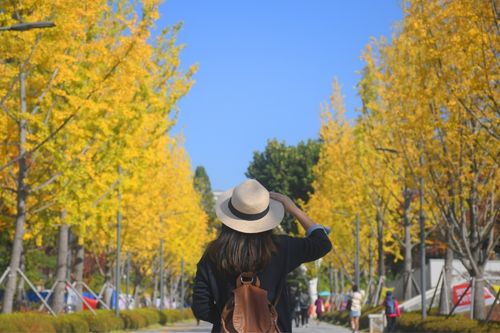 Yonsei University in Autumn