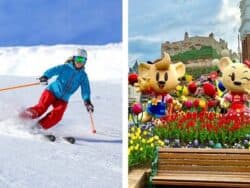 Jisan Ski Resort พร้อมทัวร์เอเวอร์แลนด์หนึ่งวัน