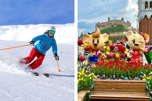 Resor Ski Jisan dengan Tur Satu Hari Everland